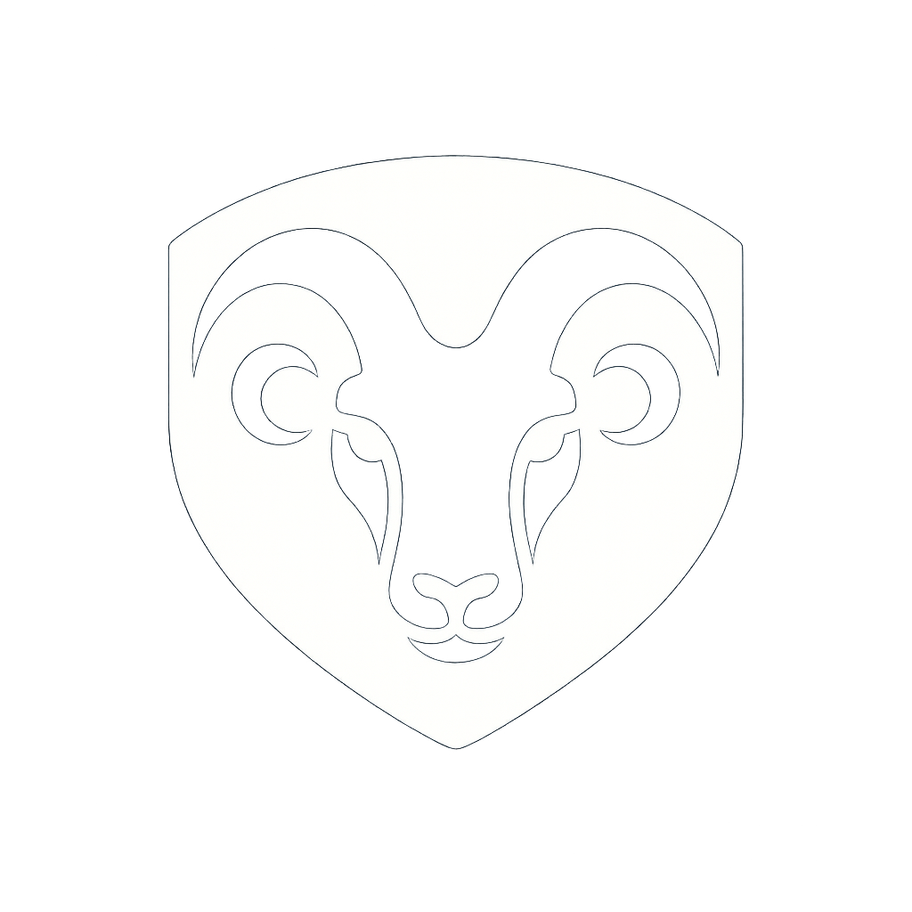 Defenty Shield